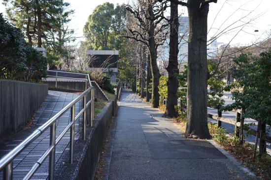 DSC00029.jpg DSC00029