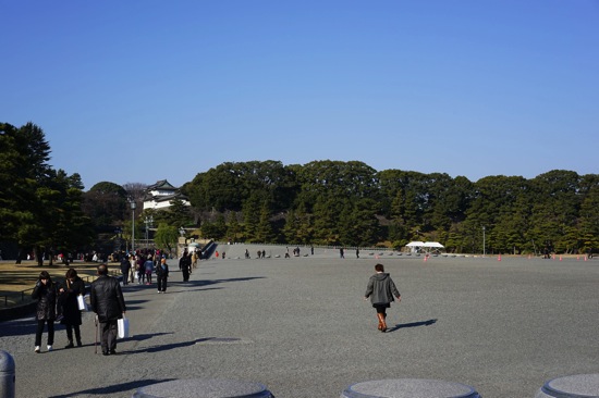 DSC00045.jpg DSC00045