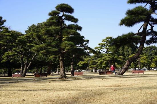 DSC00048.jpg DSC00048