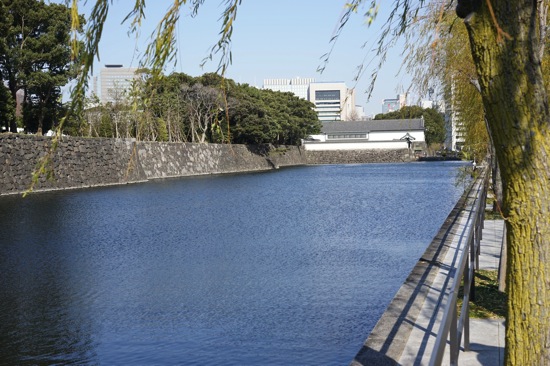DSC00051.jpg DSC00051
