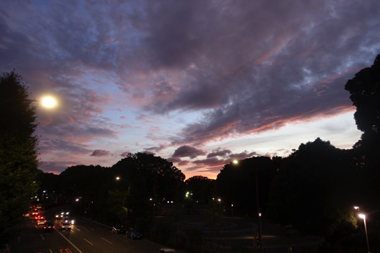 DSC00282.jpg DSC00282