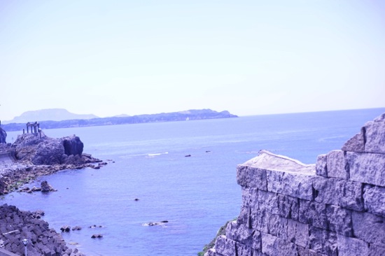 DSC00879.jpg DSC00879