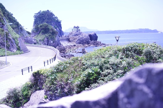 DSC00894.jpg DSC00894