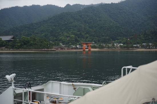DSC01255.jpg DSC01255