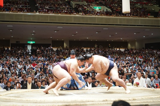 DSC01714.JPG DSC01714