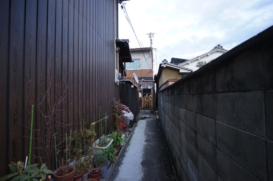 DSC02409.jpg DSC02409