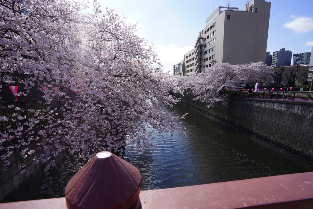 DSC02594.jpg DSC02594