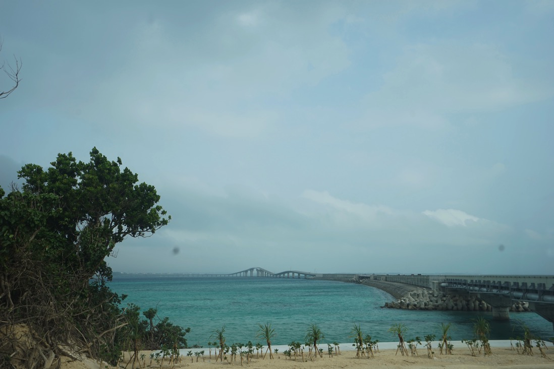 DSC04721.jpg DSC04721