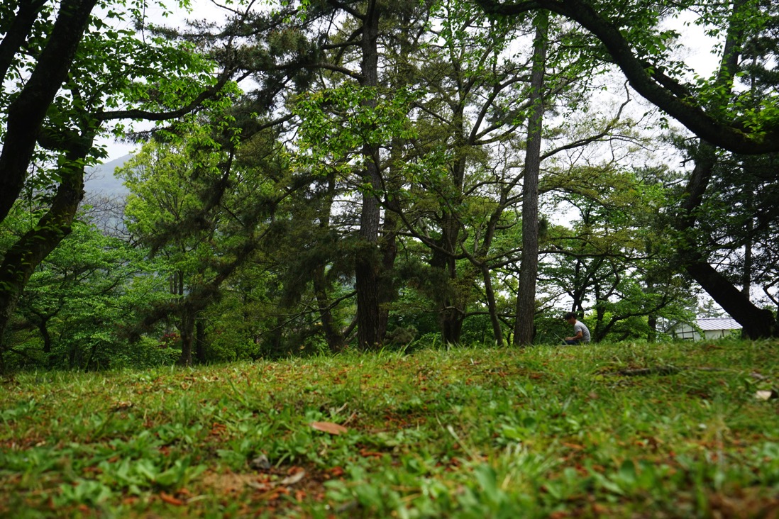 DSC05031.jpg DSC05031