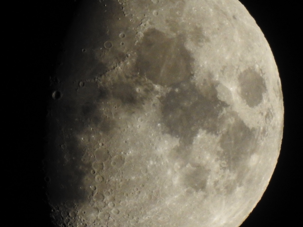 DSCN0366