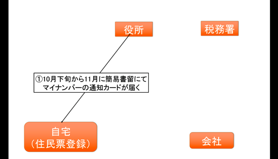 EX-IT SS 21.png EX IT SS 21
