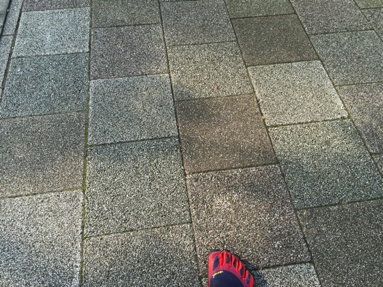 IMG_0146.JPG IMG 0146