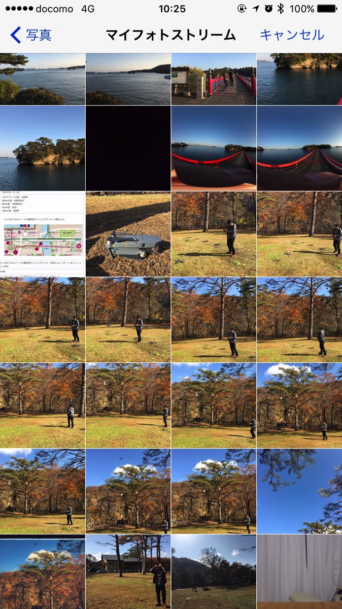 IMG_0196.jpg IMG 0196