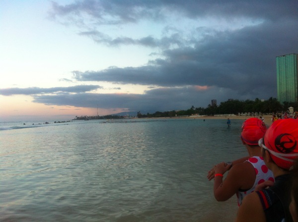 IMG_1278.JPG IMG 1278