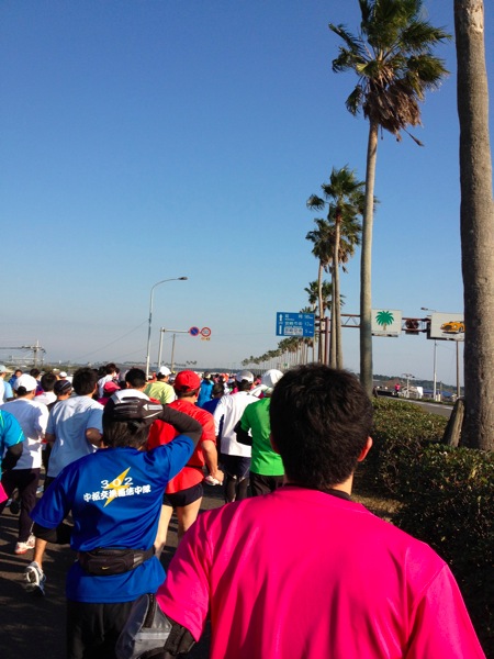 IMG_1430.jpg IMG 1430