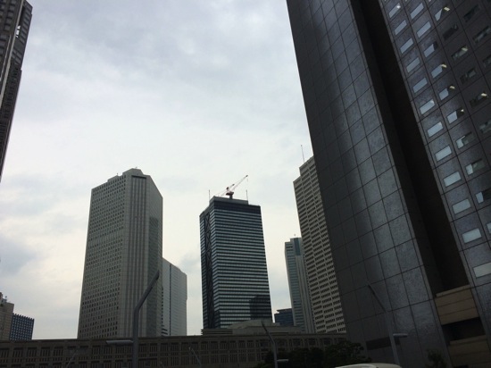 IMG_1609.jpg IMG 1609