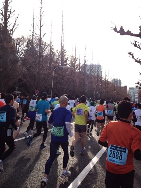 IMG_1694.JPG IMG 1694
