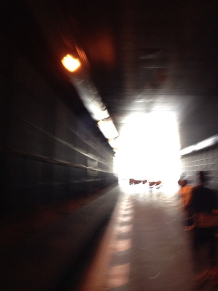 IMG_1771.JPG IMG 1771