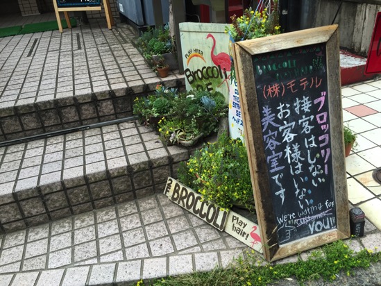 IMG_2371.jpg IMG 2371