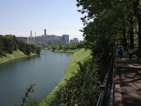 IMG_2930.JPG IMG 2930