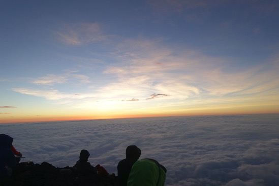 IMG_3478.jpg IMG 3478