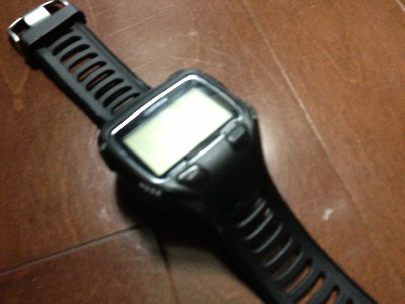 IMG_4681.JPG IMG 4681