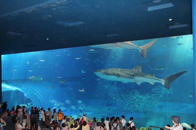 IMG_7486.JPG IMG 7486