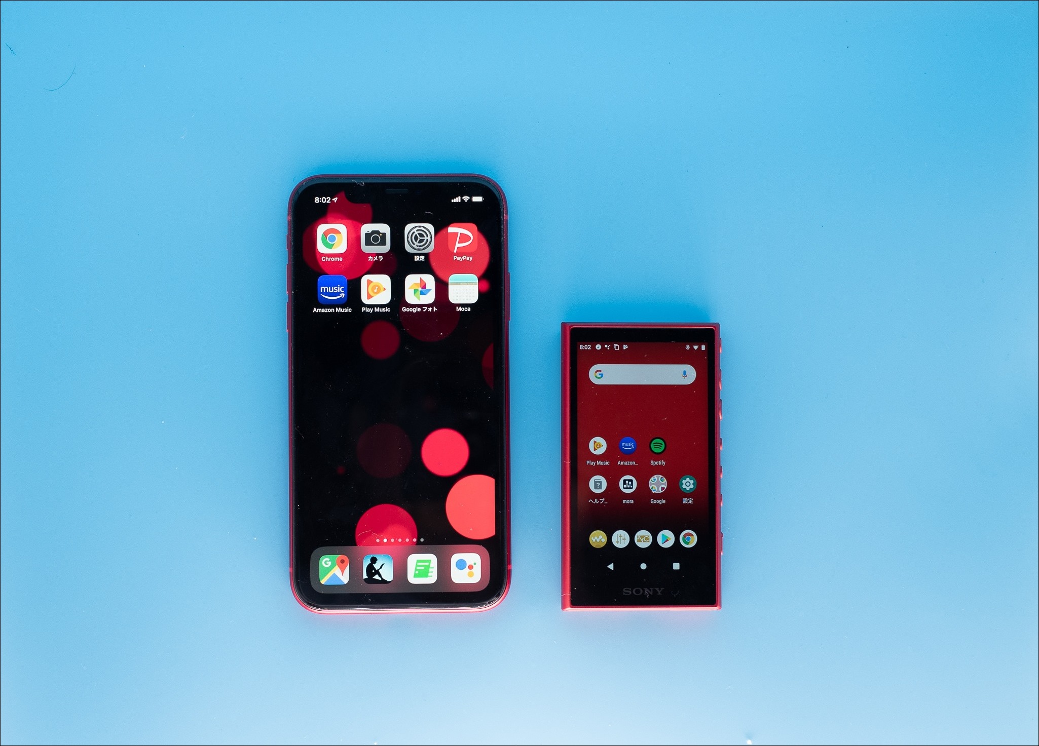 L1010266 L1010266