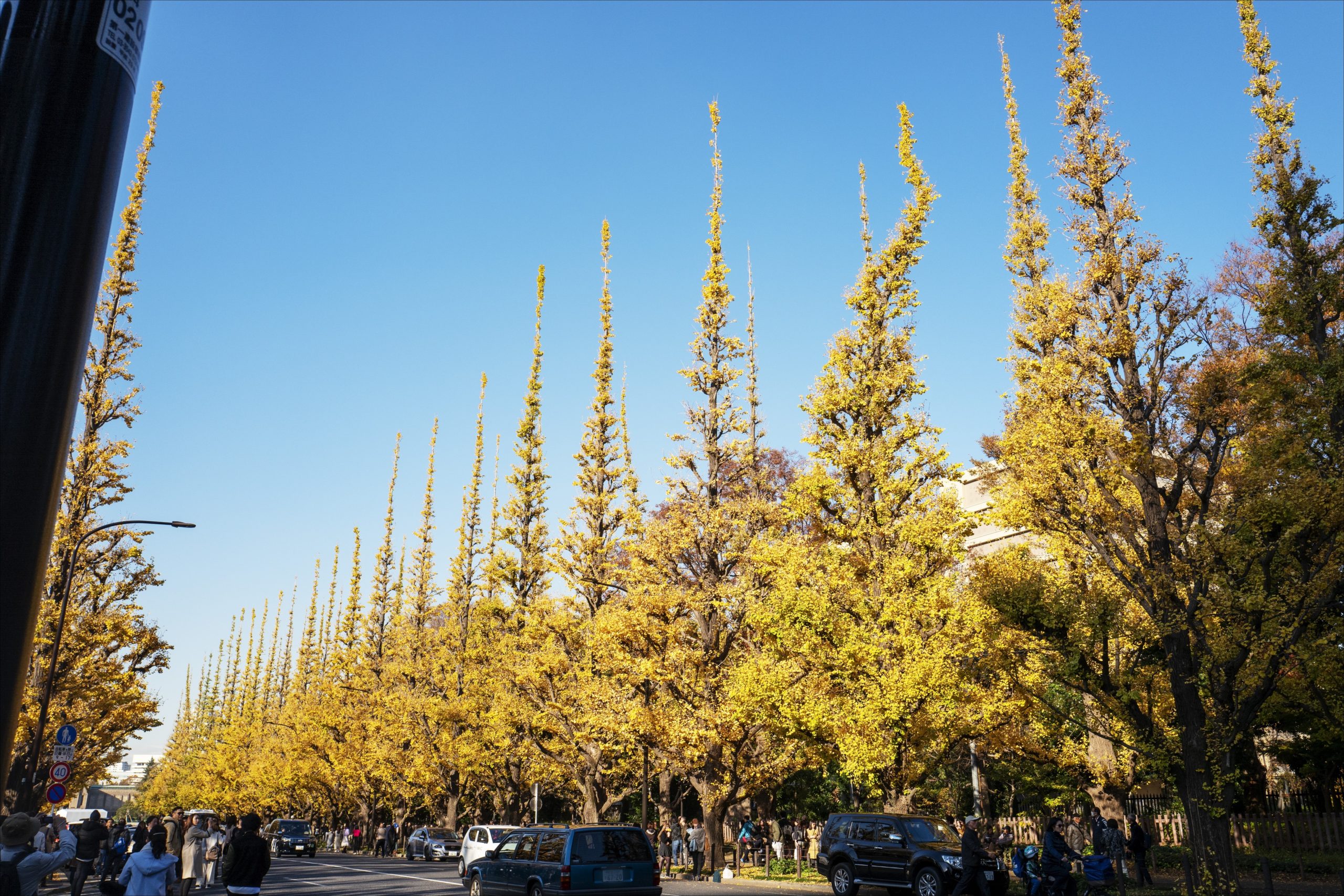 L1020633 L1020633