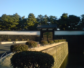 Newtype税理士 井ノ上陽一のブログ|-20081231075100.jpg