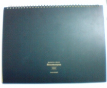 Newtype税理士 井ノ上陽一のブログ|-20090116075719.jpg