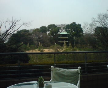Newtype税理士 井ノ上陽一のブログ|-20090213112140.jpg