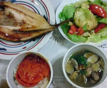 Newtype税理士 井ノ上陽一のブログ|-20090222191800.jpg